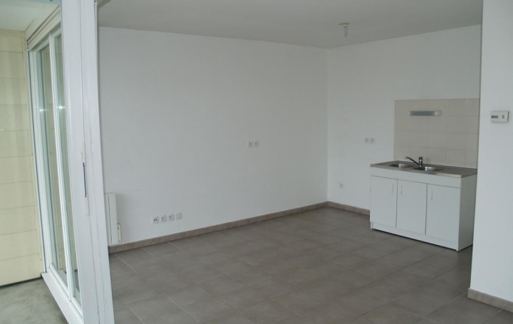 Alpes immobilier : Appartement | GRENOBLE (38100) | 46 m2 | 675 € 