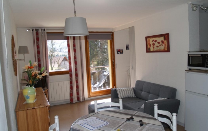 Alpes immobilier : Appartement | SAINT-PIERRE-DE-CHARTREUSE (38380) | 33 m2 | 75 000 € 
