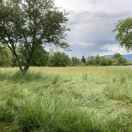  Alpes immobilier : Maison / Villa | SAINT-JEAN-D'AVELANNE (38480) | 152 m2 | 239 000 € 