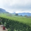  Alpes immobilier : Maison / Villa | VOREPPE (38340) | 180 m2 | 430 000 € 