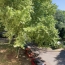  Alpes immobilier : Appartement | GRENOBLE (38100) | 65 m2 | 108 000 € 
