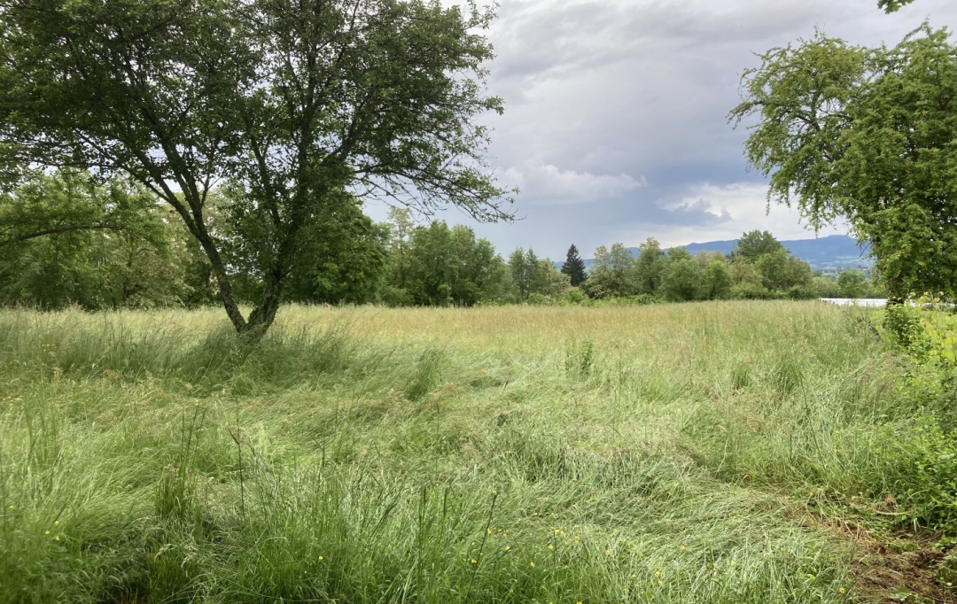Alpes immobilier : Maison / Villa | SAINT-JEAN-D'AVELANNE (38480) | 152 m2 | 239 000 € 