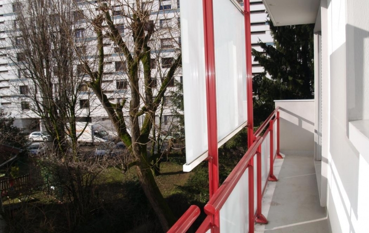 Alpes immobilier : Appartement | GRENOBLE (38100) | 54 m2 | 110 000 € 