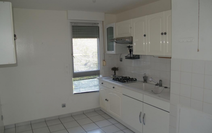 Alpes immobilier : Appartement | GRENOBLE (38100) | 86 m2 | 234 000 € 