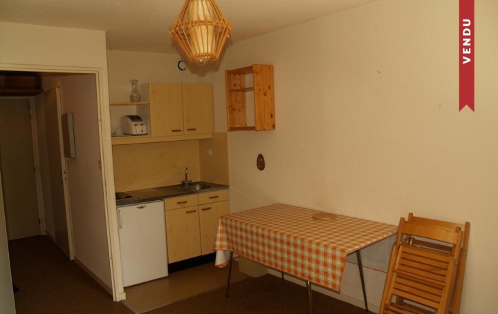 Alpes immobilier : Appartement | SAINT-PIERRE-DE-CHARTREUSE (38380) | 18 m2 | 35 000 € 