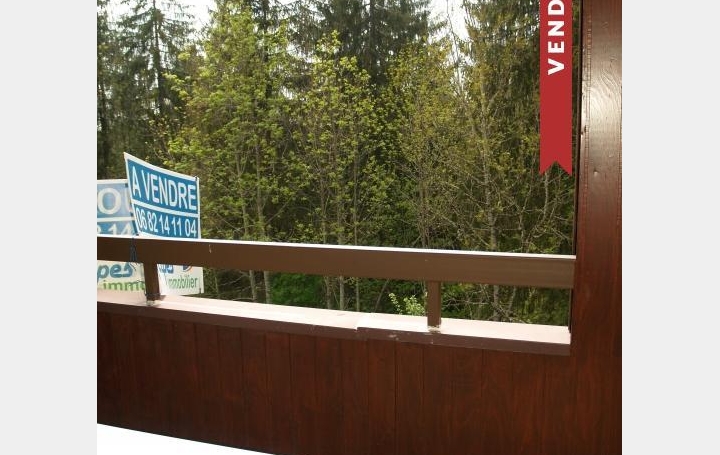 Alpes immobilier : Appartement | SAINT-PIERRE-DE-CHARTREUSE (38380) | 18 m2 | 35 000 € 