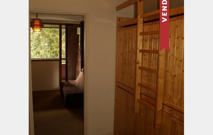Alpes immobilier : Appartement | SAINT-PIERRE-DE-CHARTREUSE (38380) | 18 m2 | 35 000 € 